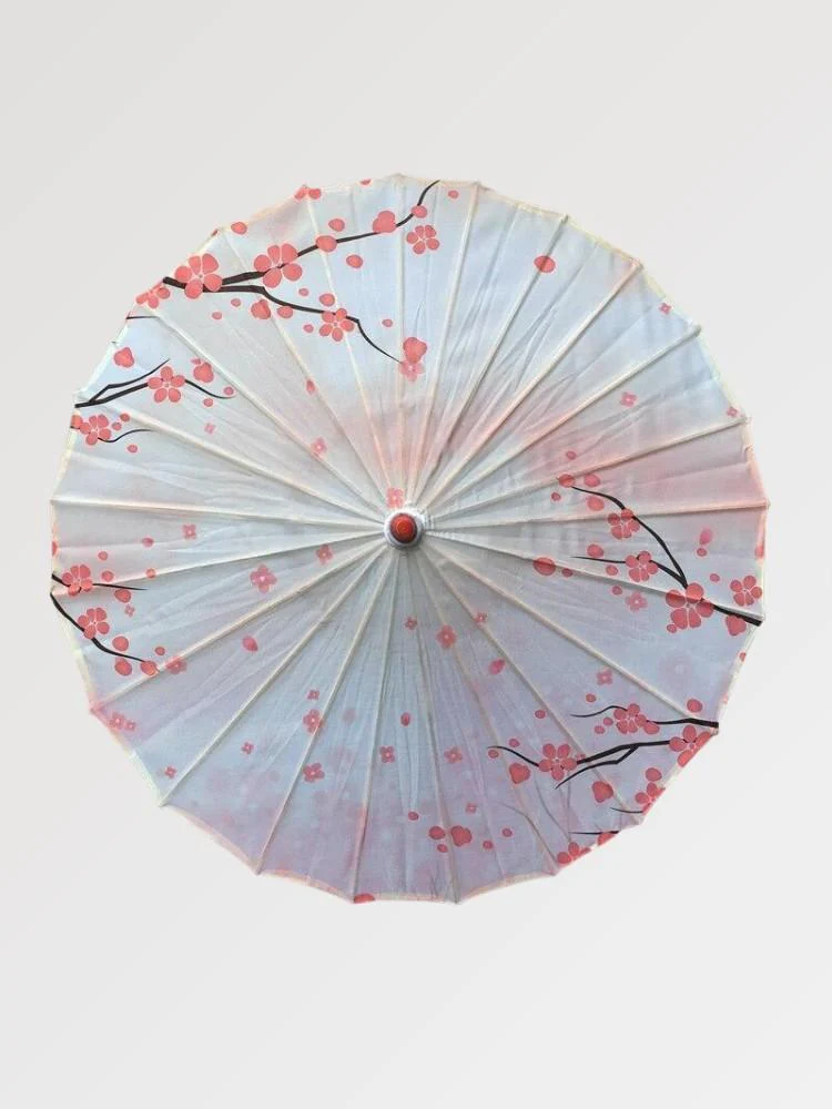 Mini Parapluie Japonais 'Akitori'